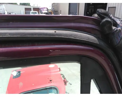 FREIGHTLINER CASCADIA 113-125 DOOR ASSEMBLY, FRONT