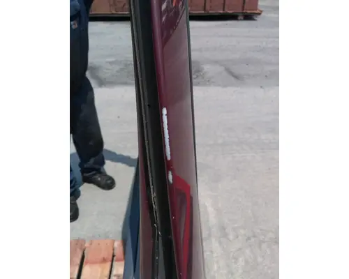 FREIGHTLINER CASCADIA 113-125 DOOR ASSEMBLY, FRONT