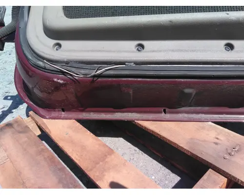 FREIGHTLINER CASCADIA 113-125 DOOR ASSEMBLY, FRONT