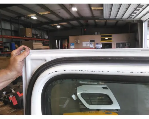 FREIGHTLINER CASCADIA 113-125 DOOR ASSEMBLY, FRONT