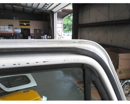 FREIGHTLINER CASCADIA 113-125 DOOR ASSEMBLY, FRONT