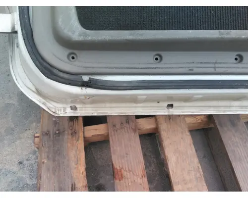 FREIGHTLINER CASCADIA 113-125 DOOR ASSEMBLY, FRONT