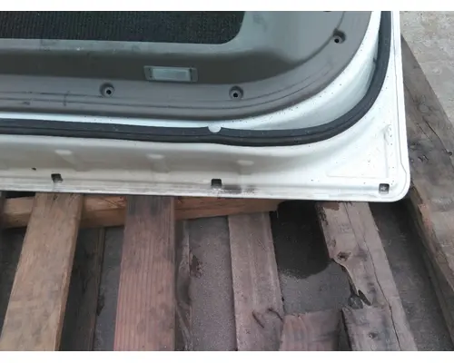 FREIGHTLINER CASCADIA 113-125 DOOR ASSEMBLY, FRONT