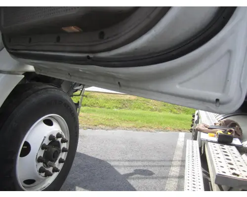 FREIGHTLINER CASCADIA 113-125 DOOR ASSEMBLY, FRONT