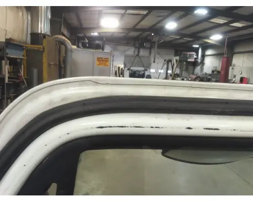 FREIGHTLINER CASCADIA 113-125 DOOR ASSEMBLY, FRONT