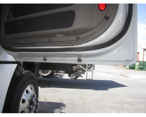 FREIGHTLINER CASCADIA 113-125 DOOR ASSEMBLY, FRONT