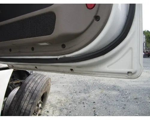 FREIGHTLINER CASCADIA 113-125 DOOR ASSEMBLY, FRONT