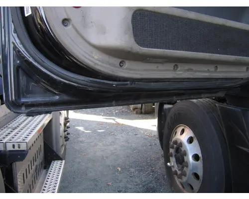 FREIGHTLINER CASCADIA 113-125 DOOR ASSEMBLY, FRONT