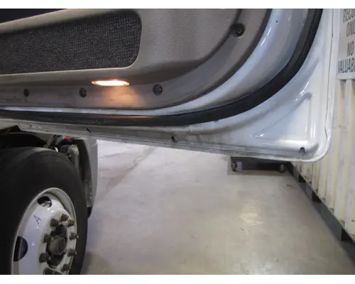 FREIGHTLINER CASCADIA 113-125 DOOR ASSEMBLY, FRONT
