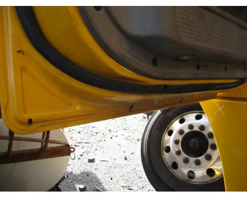 FREIGHTLINER CASCADIA 113-125 DOOR ASSEMBLY, FRONT