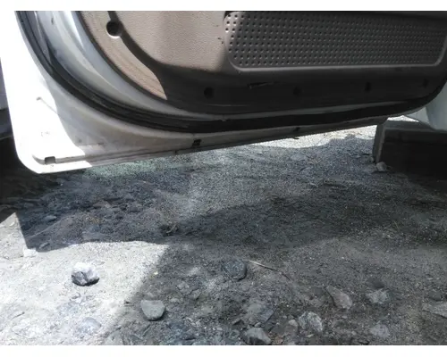 FREIGHTLINER CASCADIA 113-125 DOOR ASSEMBLY, FRONT