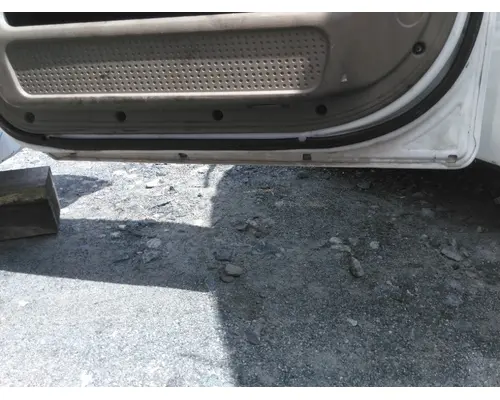 FREIGHTLINER CASCADIA 113-125 DOOR ASSEMBLY, FRONT