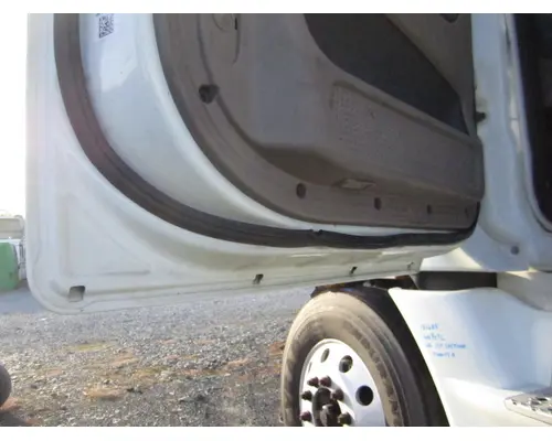 FREIGHTLINER CASCADIA 113-125 DOOR ASSEMBLY, FRONT