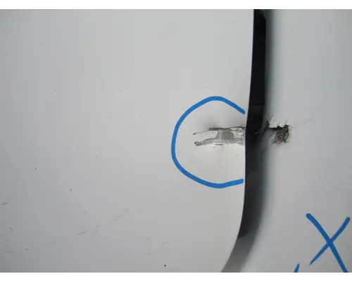 FREIGHTLINER CASCADIA 113-125 DOOR ASSEMBLY, FRONT