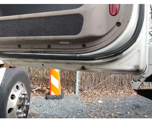 FREIGHTLINER CASCADIA 113-125 DOOR ASSEMBLY, FRONT