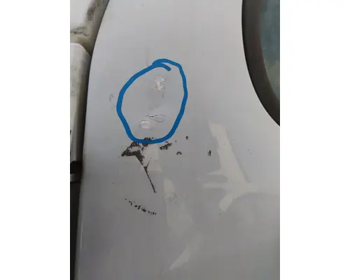 FREIGHTLINER CASCADIA 113-125 DOOR ASSEMBLY, FRONT