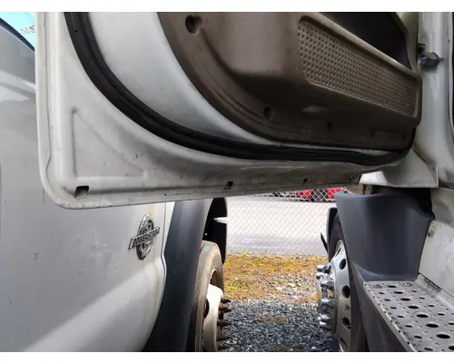 FREIGHTLINER CASCADIA 113-125 DOOR ASSEMBLY, FRONT