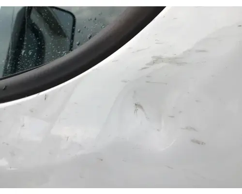 FREIGHTLINER CASCADIA 113-125 DOOR ASSEMBLY, FRONT