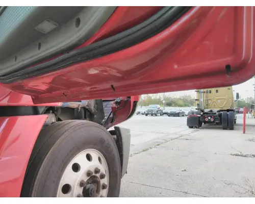 FREIGHTLINER CASCADIA 113-125 DOOR ASSEMBLY, FRONT