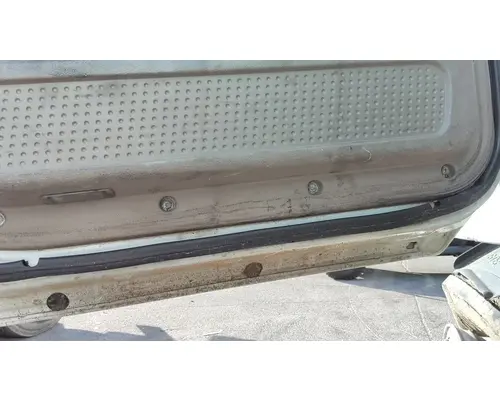 FREIGHTLINER CASCADIA 113-125 DOOR ASSEMBLY, FRONT