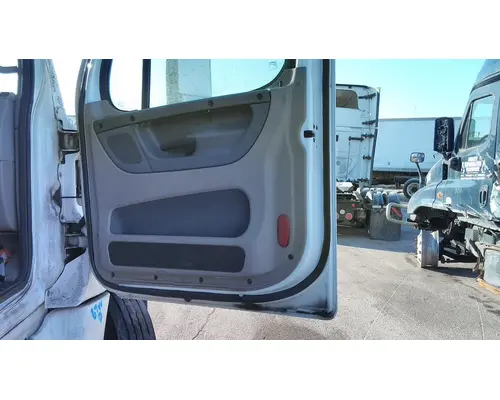 FREIGHTLINER CASCADIA 113-125 DOOR ASSEMBLY, FRONT