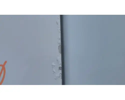 FREIGHTLINER CASCADIA 113-125 DOOR ASSEMBLY, FRONT