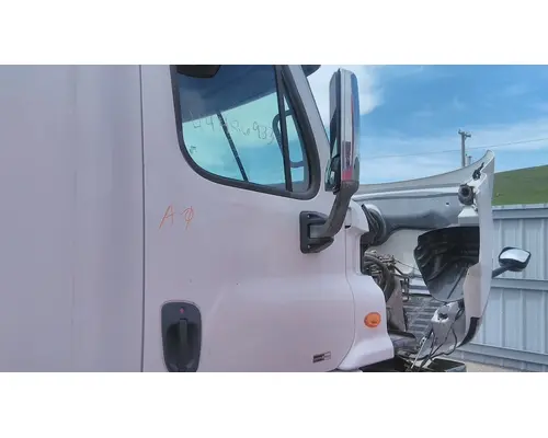 FREIGHTLINER CASCADIA 113-125 DOOR ASSEMBLY, FRONT