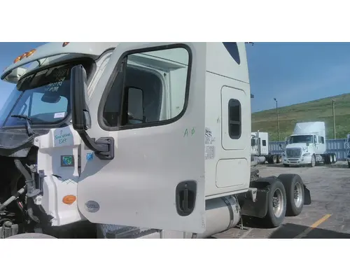 FREIGHTLINER CASCADIA 113-125 DOOR ASSEMBLY, FRONT