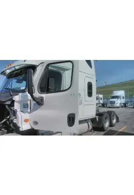 FREIGHTLINER CASCADIA 113-125 DOOR ASSEMBLY, FRONT