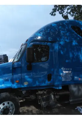 FREIGHTLINER CASCADIA 113-125 DOOR ASSEMBLY, FRONT