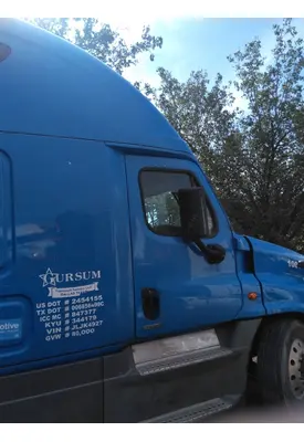 FREIGHTLINER CASCADIA 113-125 DOOR ASSEMBLY, FRONT