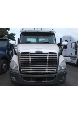 FREIGHTLINER CASCADIA 113 2008-2020 HOOD