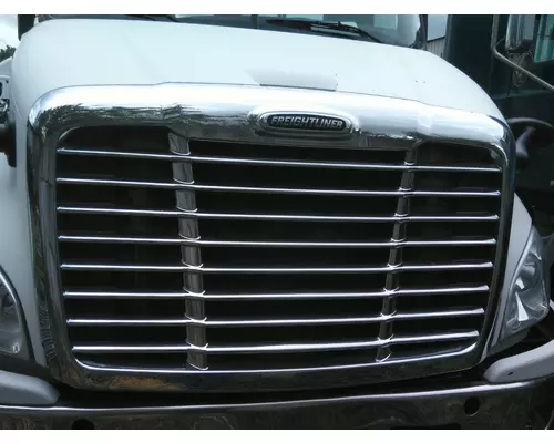 FREIGHTLINER CASCADIA 113 2008-2020 HOOD