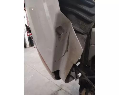 FREIGHTLINER CASCADIA 113 2008-2020 HOOD