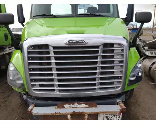 FREIGHTLINER CASCADIA 113 2008-2020 HOOD