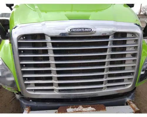 FREIGHTLINER CASCADIA 113 2008-2020 HOOD