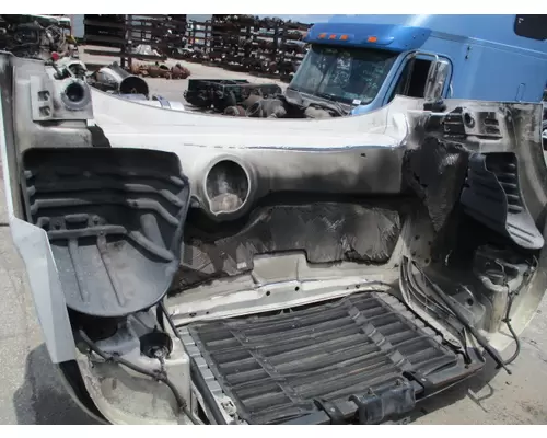 FREIGHTLINER CASCADIA 113 2008-2020 HOOD