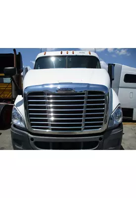 FREIGHTLINER CASCADIA 113 2008-2020 HOOD