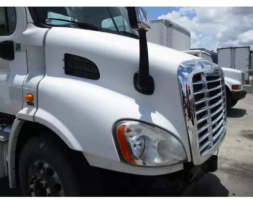 FREIGHTLINER CASCADIA 113 2008-2020 HOOD