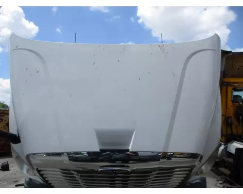FREIGHTLINER CASCADIA 113 2008-2020 HOOD