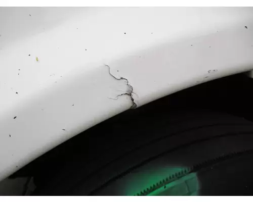 FREIGHTLINER CASCADIA 113 2008-2020 HOOD