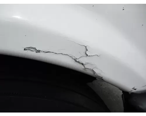 FREIGHTLINER CASCADIA 113 2008-2020 HOOD