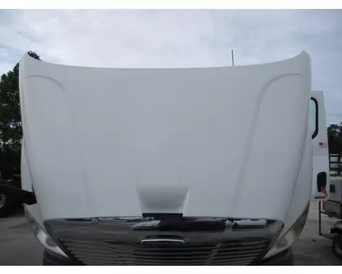 FREIGHTLINER CASCADIA 113 2008-2020 HOOD