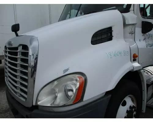 FREIGHTLINER CASCADIA 113 2008-2020 HOOD