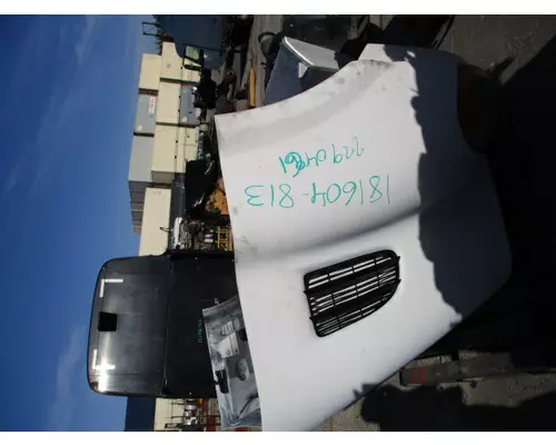 FREIGHTLINER CASCADIA 113 2008-2020 HOOD
