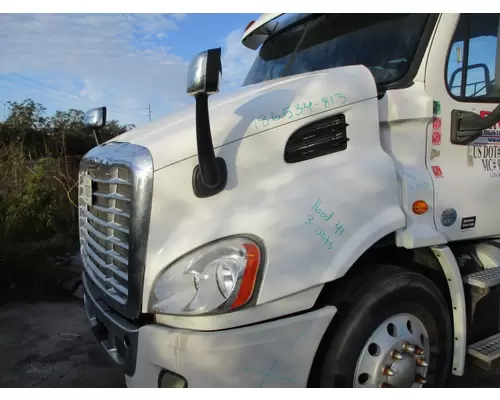 FREIGHTLINER CASCADIA 113 2008-2020 HOOD