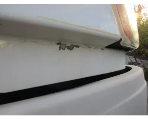 FREIGHTLINER CASCADIA 113 2008-2020 HOOD