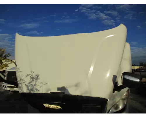 FREIGHTLINER CASCADIA 113 2008-2020 HOOD