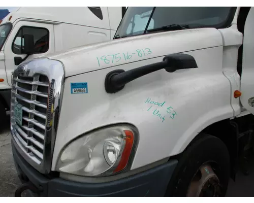 FREIGHTLINER CASCADIA 113 2008-2020 HOOD