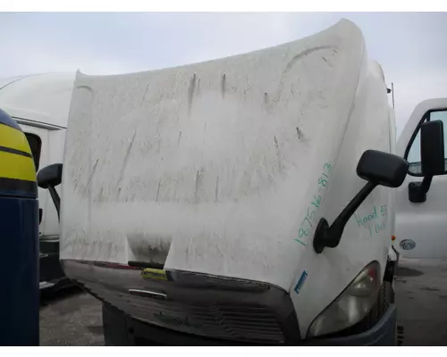 FREIGHTLINER CASCADIA 113 2008-2020 HOOD